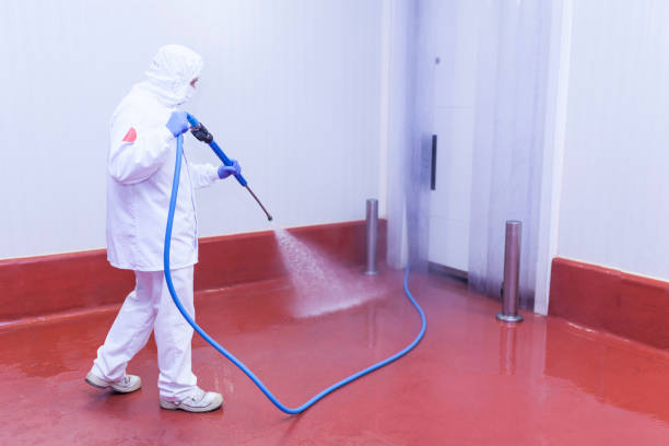 Boat and Dock Cleaning in Holtville, AL